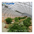 Agricultural Greenhouses With Light Deprivation System